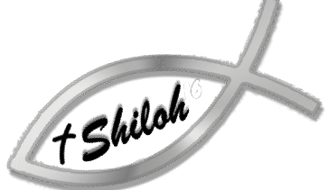 Shiloh CMC Vellore